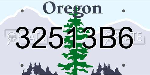 32513B6 Oregon License Plate