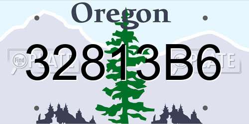 32813B6 Oregon License Plate
