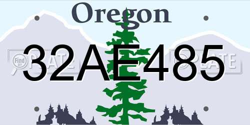32AE485 Oregon License Plate