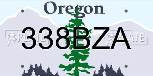 338BZA Oregon License Plate