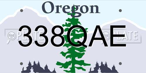 338QAE Oregon License Plate