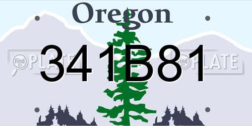 341B81 Oregon License Plate