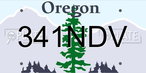 341NDV Oregon License Plate