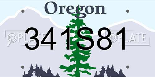 341S81 Oregon License Plate
