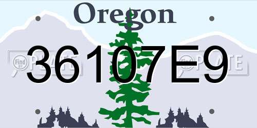 36107E9 Oregon License Plate