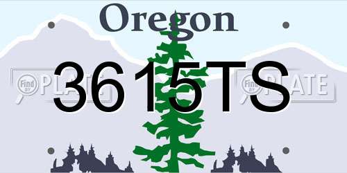 3615TS Oregon License Plate