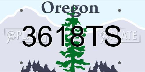 3618TS Oregon License Plate