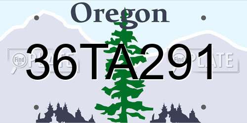 36TA291 Oregon License Plate