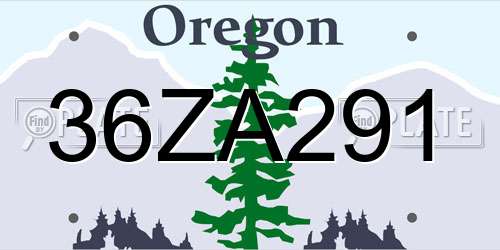 36ZA291 Oregon License Plate