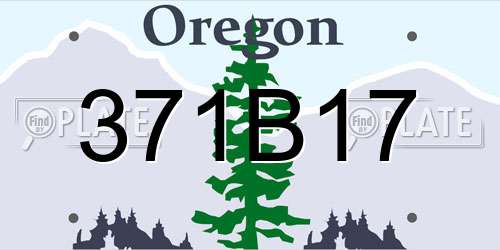 371B17 Oregon License Plate