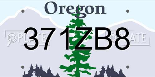 371ZB8 Oregon License Plate