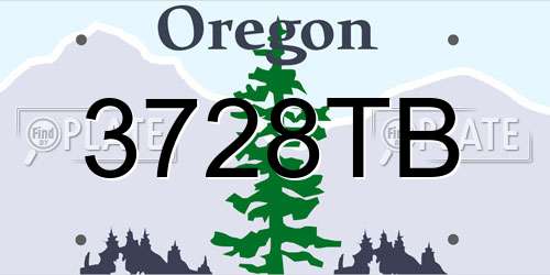 3728TB Oregon License Plate