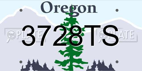 3728TS Oregon License Plate