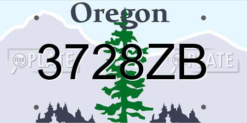 3728ZB Oregon License Plate