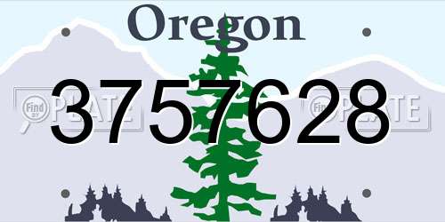 3757628 Oregon License Plate