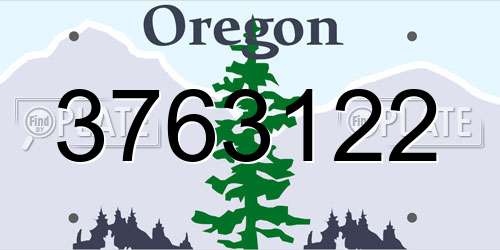 3763122 Oregon License Plate
