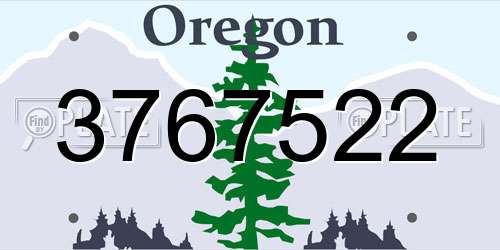 3767522 Oregon License Plate