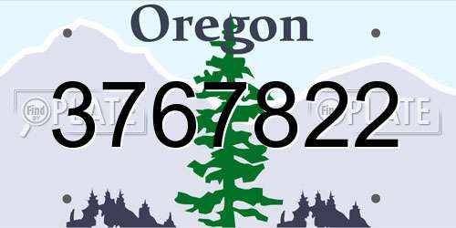 3767822 Oregon License Plate