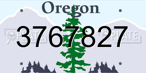 3767827 Oregon License Plate