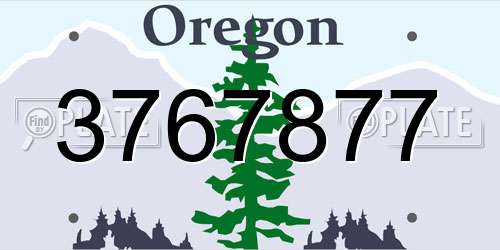 3767877 Oregon License Plate