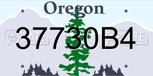 37730B4 Oregon License Plate