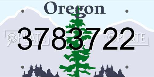 3783722 Oregon License Plate