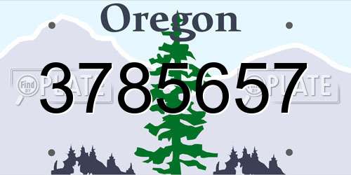3785657 Oregon License Plate