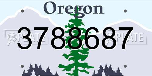 3788687 Oregon License Plate