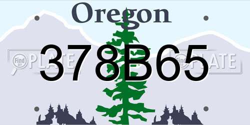 378B65 Oregon License Plate