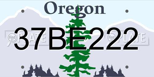 37BE222 Oregon License Plate