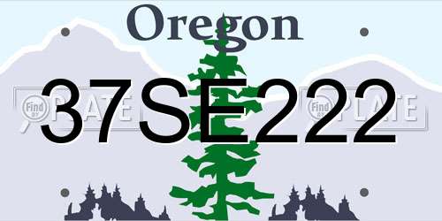 37SE222 Oregon License Plate