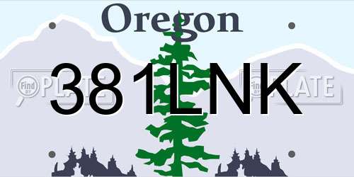 381LNK Oregon License Plate