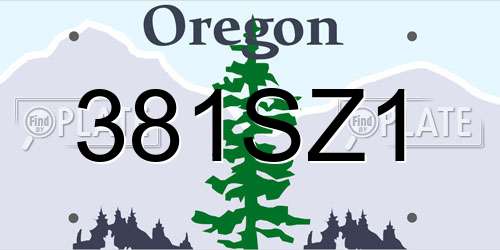 381SZ1 Oregon License Plate