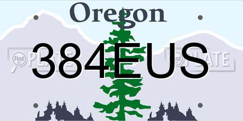 384EUS Oregon License Plate
