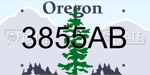 3855AB Oregon License Plate