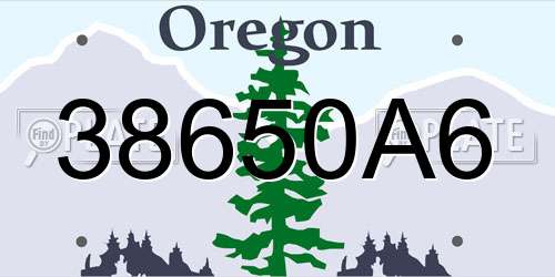 38650A6 Oregon License Plate