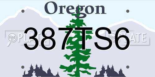 387TS6 Oregon License Plate