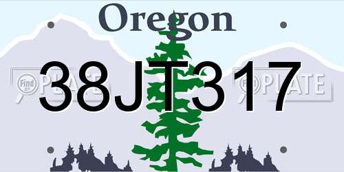 38JT317 Oregon License Plate