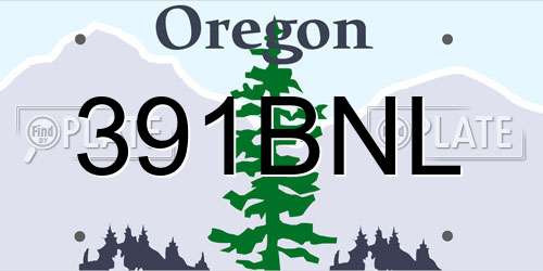 391BNL Oregon License Plate