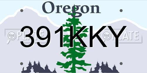391KKY Oregon License Plate