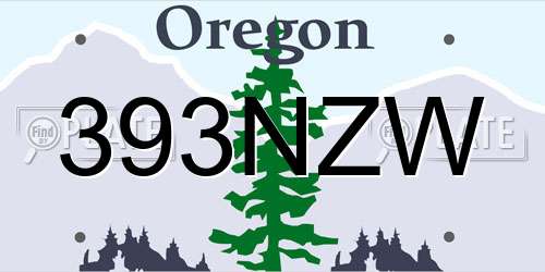 393NZW Oregon License Plate