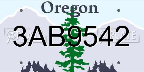 3AB9542 Oregon License Plate