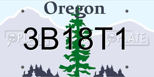 3B18T1 Oregon License Plate