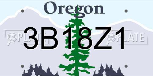 3B18Z1 Oregon License Plate