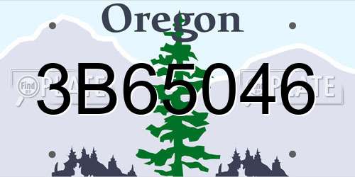 3B65046 Oregon License Plate