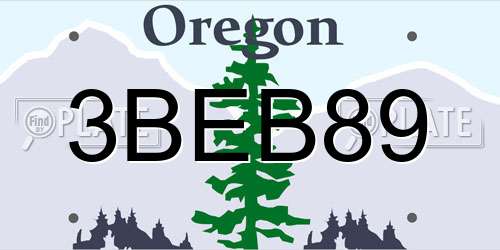 3BEB89 Oregon License Plate