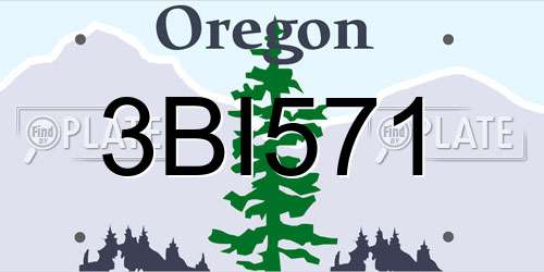3BI571 Oregon License Plate