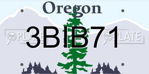 3BIB71 Oregon License Plate