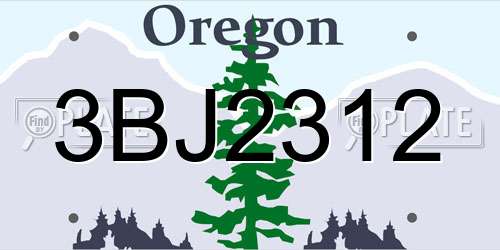 3BJ2312 Oregon License Plate