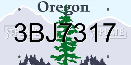 3BJ7317 Oregon License Plate